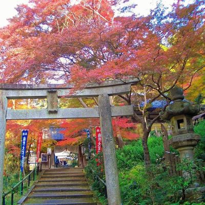 【終了致しました】京都秘仏を巡る願いを叶えるツアー 双林院の秘仏・大聖歓喜天＆ご住職の案内による特別拝観